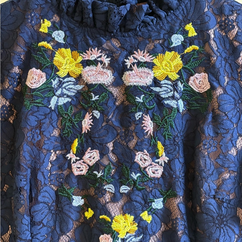 Lovedrobe Blue Lace Overlay Dress with Floral Embroidery Size 20 EUC - Picture 3 of 11